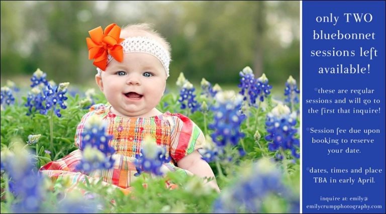 FacebookBluebonnet